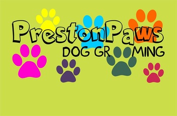 Click the link to visit my website: www.prestonpaws.co.uk or Tel 07542 696 802