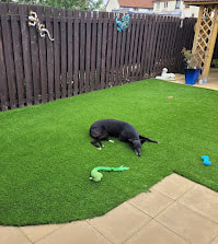Pet friendly artificial grass installation in East Lothian by Planet Grass, click here for prices and book online