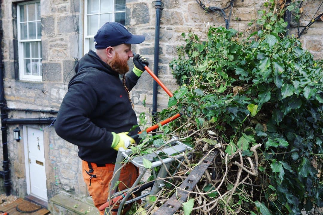Wall ivy removal in East Lothian, click here for a wall ivy removal quote near you