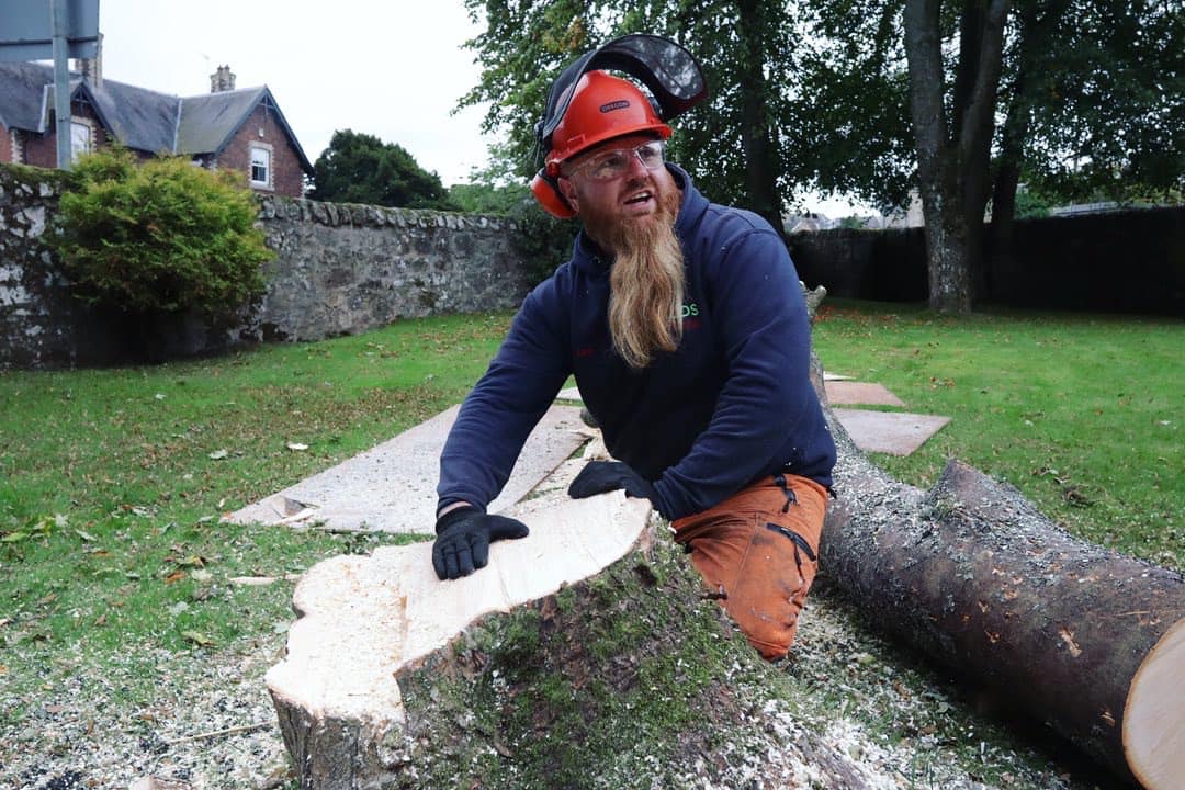 Hire a tree surgeon in East Lothian, click here for a local East Lothian tree surgeon quote from JDS Trees Ltd