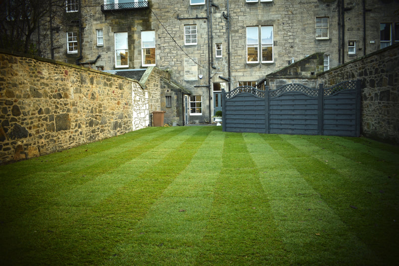 Professional lawn care quotes East Lothian